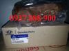 261004A000 (ma dung chung 261004A012)-PUMP ASSY-OIL-Bom nhot dong co  Hyundai Porter 2, Libero, Star